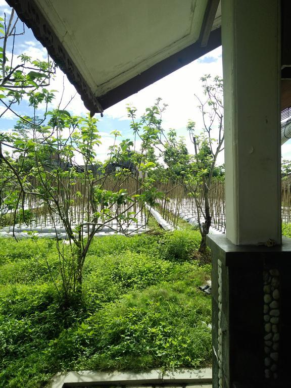 香提度假屋 巴图 外观 照片